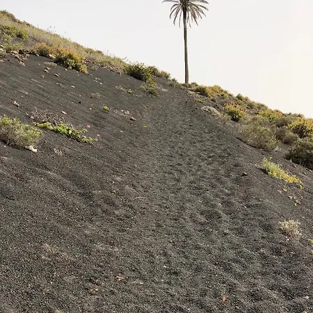 Appartamento Miramar *