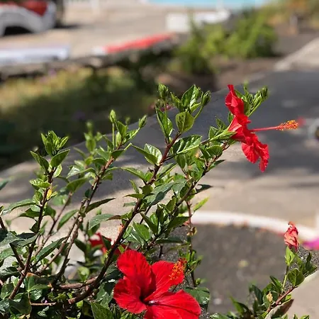 Appartamento Miramar *